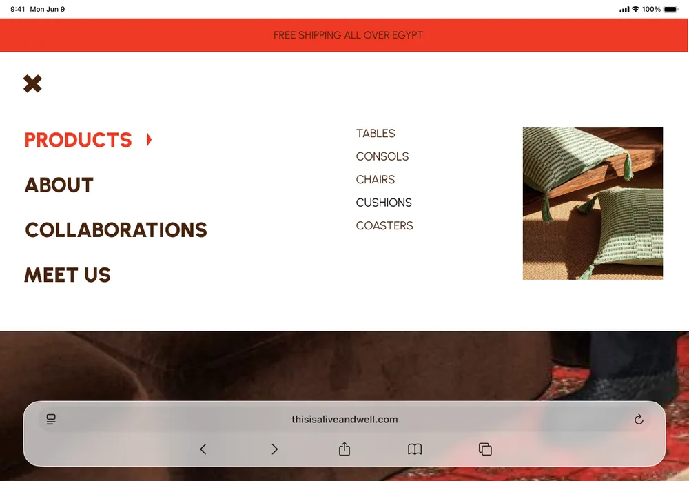 Full-screen menu with product categories